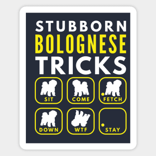 Stubborn Bolognese Tricks - Dog Training Magnet